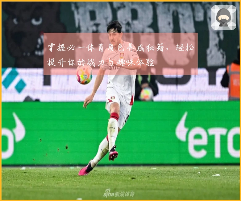 掌握必一体育角色养成秘籍,轻松提升你的战力与趣味体验