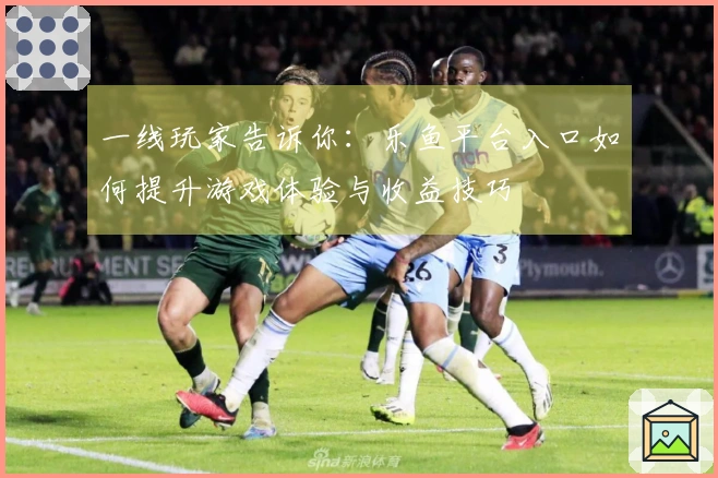 一线玩家告诉你：乐鱼平台入口如何提升游戏体验与收益技巧