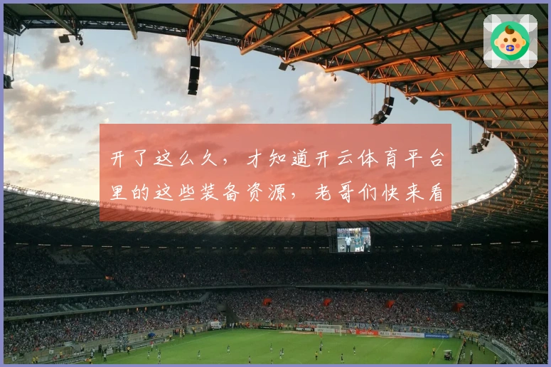 开了这么久，才知道开云体育平台里的这些装备资源，老哥们快来看看能省多少事！